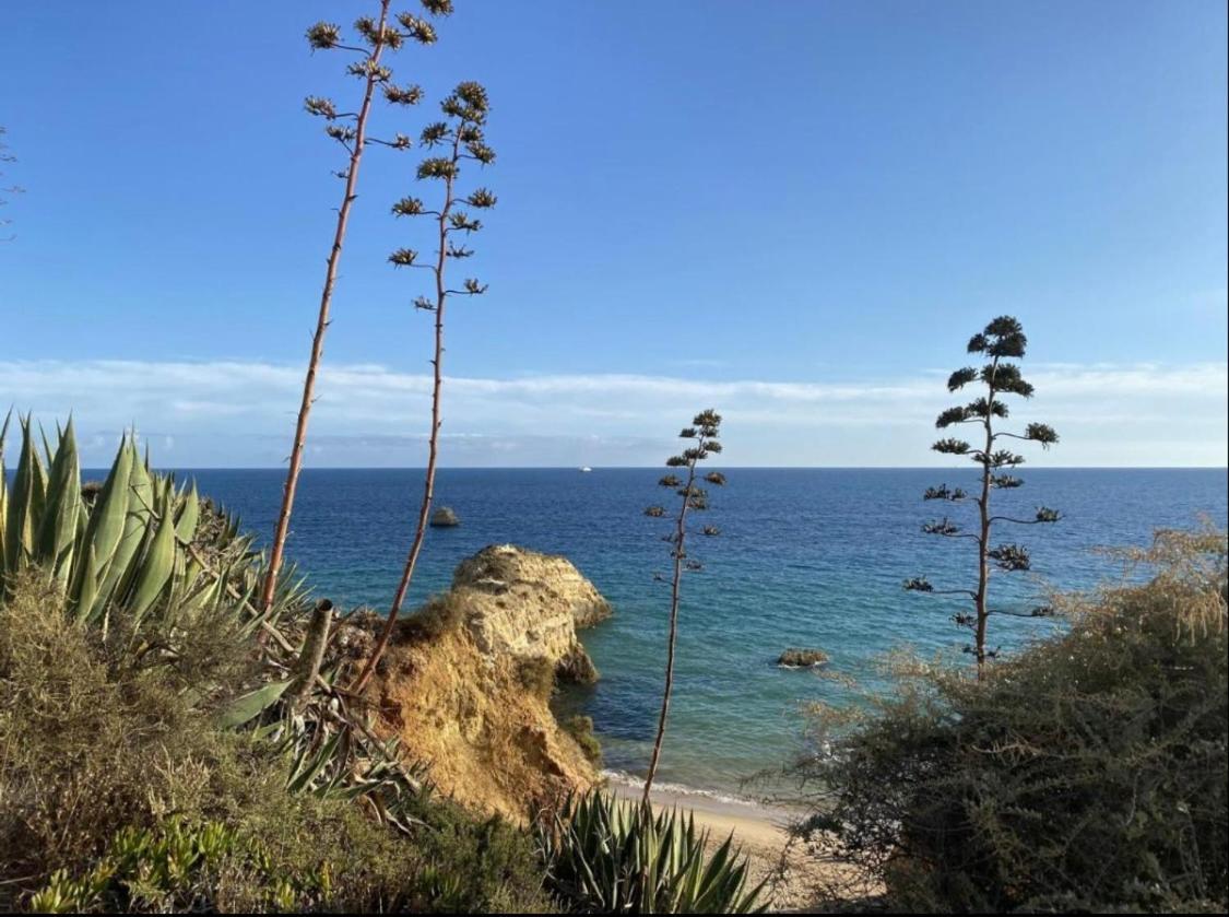 Nayjay Staycation Portimão Dış mekan fotoğraf